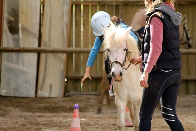 Formation Animateur d'Équitation